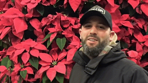 Animate_this_video_202509051927